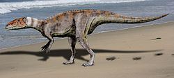 Dubreuillosaurus Dubreuillosaurus Wikipedia