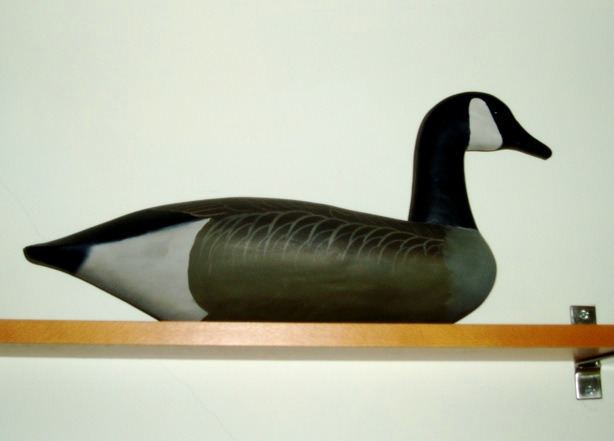 Duck decoy (model)
