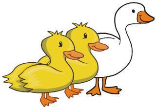 Duck, duck, goose Duck Duck Goose