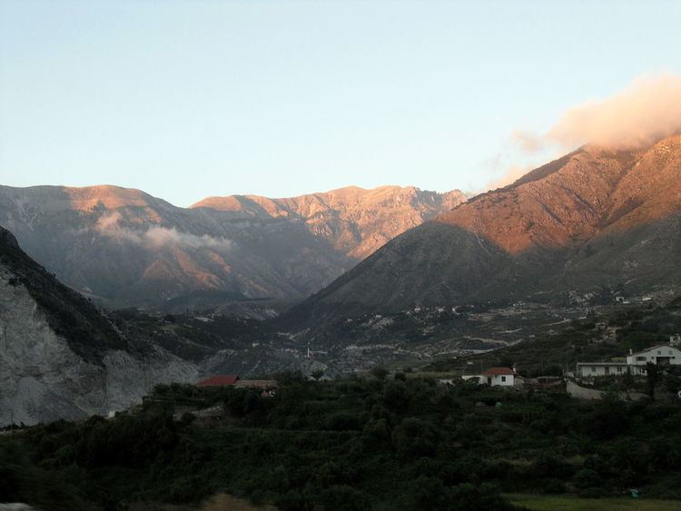 Dukat, Albania