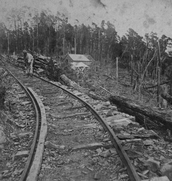 Dun Mountain Railway DunMountainRailwayC2634jpg