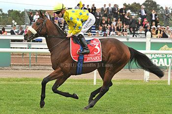 Dunaden Goldman Macquarie tip rival horses to win Melbourne Cup UPDATE Oh