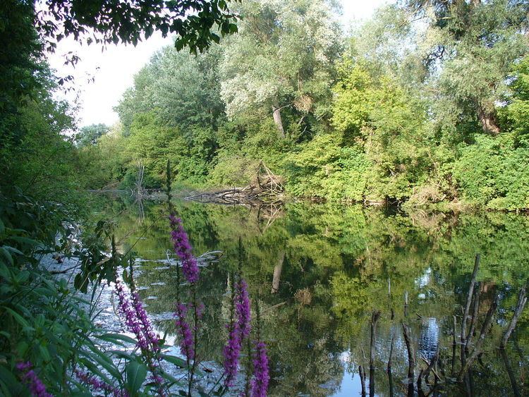 Dunajské luhy Protected Landscape Area