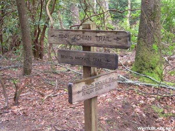 Duncan Ridge Trail httpswhiteblazenetforumvbgfiles1030drt