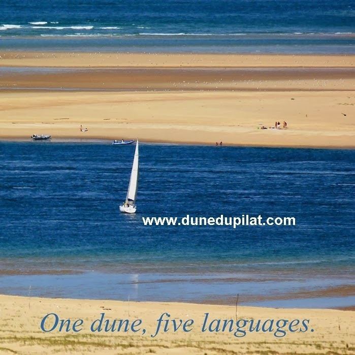 Dune of Pilat httpslh4googleusercontentcomfTaBCR5Tsf8AAA