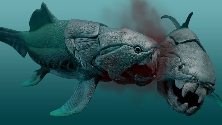 Dunkleosteus The nasty eating habits of prehistory39s meanest fish fossils