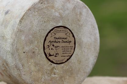 Dunlop cheese Dunlop Dairy Our Cheeses Traditional Ayrshire Dunlop Cheese and