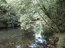 Dunmere, Cornwall httpsuploadwikimediaorgwikipediacommonsthu