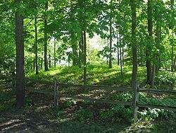 Dunns Pond Mound httpsuploadwikimediaorgwikipediacommonsthu