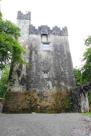 Dunsandle Castle Dunsandle Castle and Woods Athenry Ireland Top Tips Before You