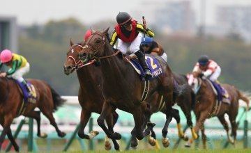Duramente Top class colt Duramente retired to stud UK Bloodstock News