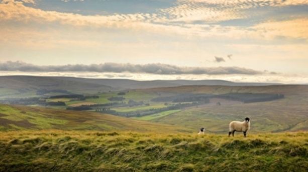 Durham Dales Savour a tasty foodie trail in the Durham Dales VisitEngland