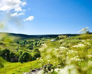 Durham Dales Explore the Durham Dales Official visitor information website for