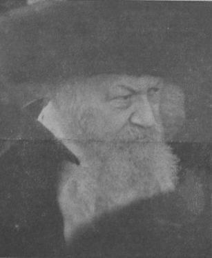 Dushinsky (Hasidic dynasty)
