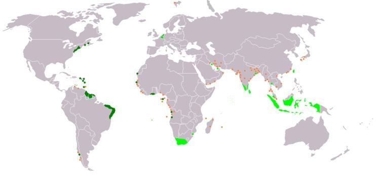 Dutch Empire httpsuploadwikimediaorgwikipediacommons99