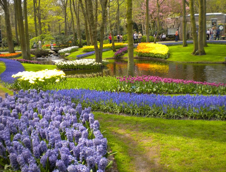 Dutch garden World of Garden FlowersDutch Gardens World of Garden Flowers