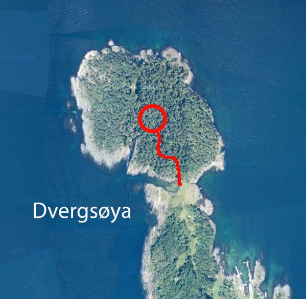 Dvergsøya httpstommetankerfileswordpresscom201306ka