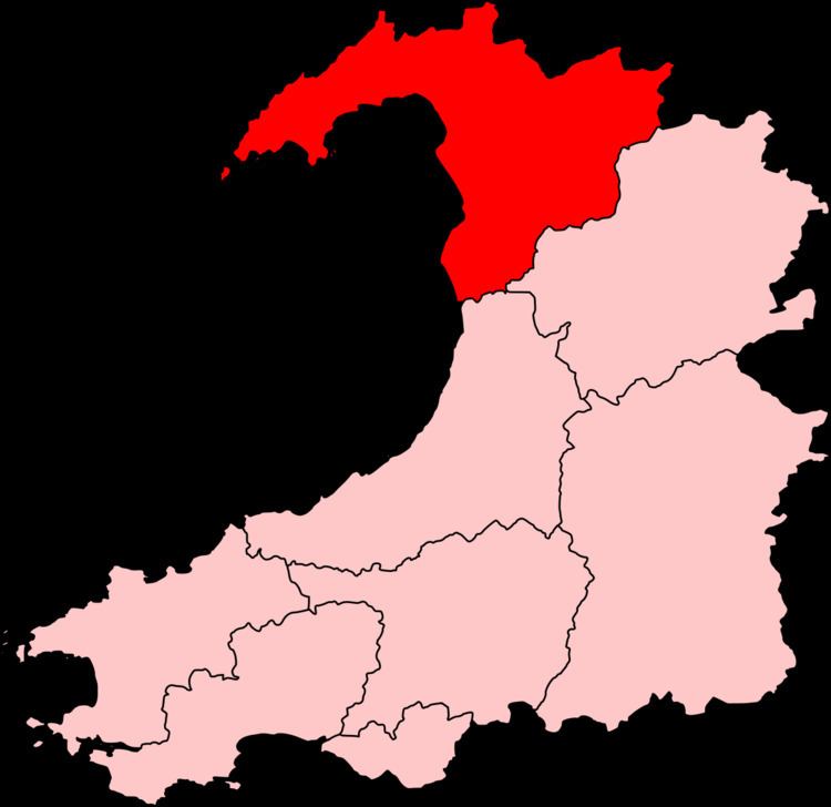 Dwyfor Meirionnydd (Assembly constituency)