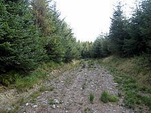 Dyfnant Forest httpsuploadwikimediaorgwikipediacommonsthu