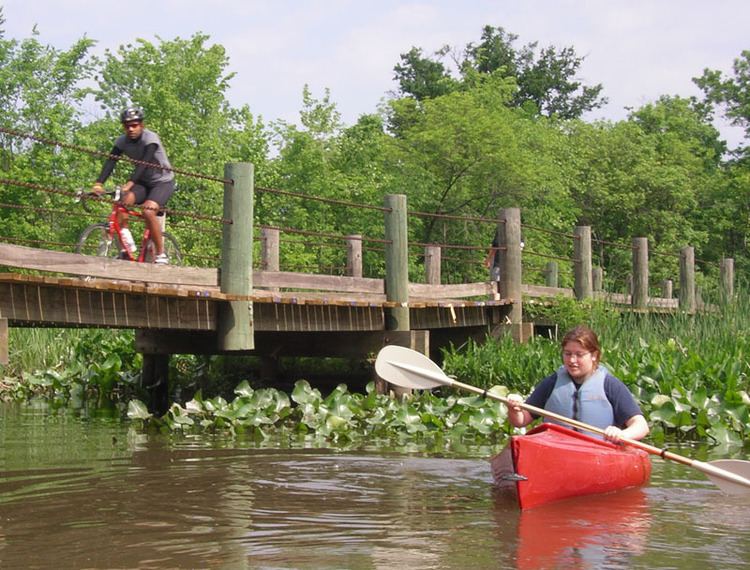 Dyke Marsh wwwburnhamvirginiacompaddlepotomac2jpg