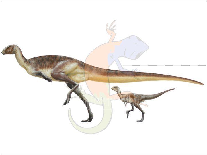 Dysalotosaurus dinosaurs Dr Frederik Spindler