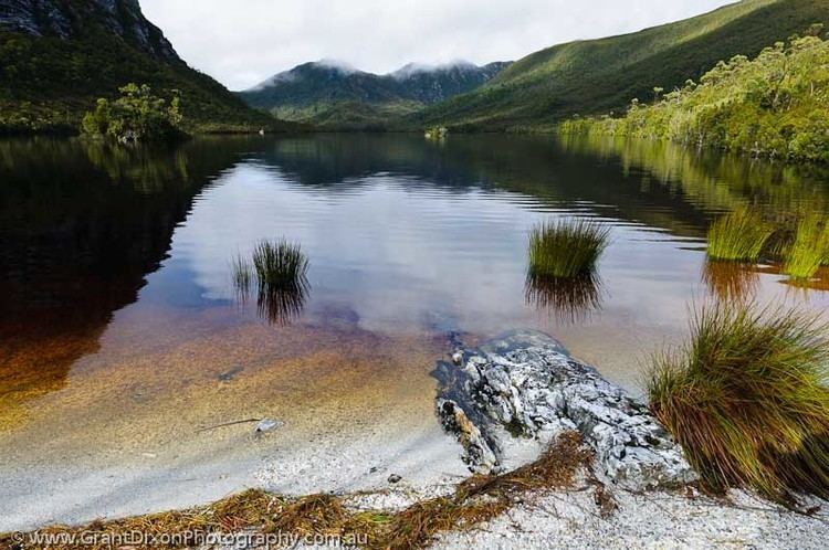 Dystrophic lake Lake Curly stillness image by Australian photographer Grant Dixon