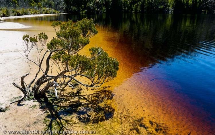 Dystrophic lake Rosanne dystrophic lake image by Australian photographer Grant Dixon