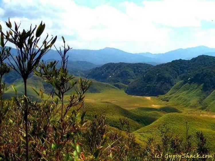 Dzükou Valley Dzkou Valley Trek Nagaland Manipur 4N5D Gypsy Shack