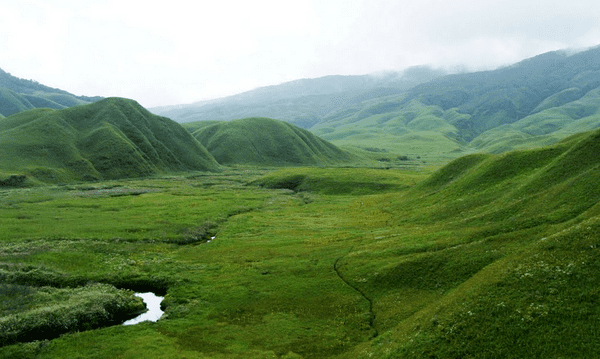 Dzükou Valley Incredible India on Twitter quotDzkou Valley located at the border