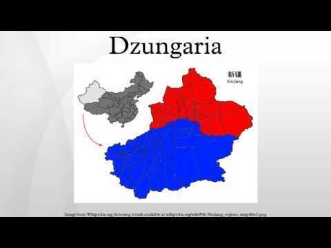 Dzungaria Dzungaria YouTube