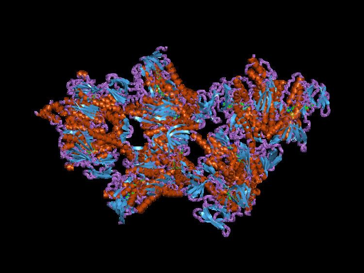 E3 binding protein
