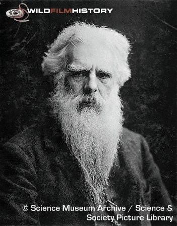 Eadweard Muybridge WildFilmHistory Eadweard Muybridge