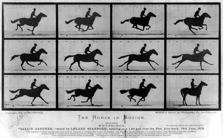 Eadweard Muybridge Eadweard Muybridge Wikipedia the free encyclopedia