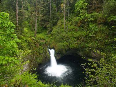 Eagle Creek (Multnomah County, Oregon) Eagle Creek to Punch Bowl Falls Hike Hiking in Portland Oregon