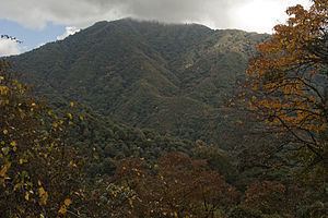 Eaglenest Wildlife Sanctuary httpsuploadwikimediaorgwikipediacommonsthu