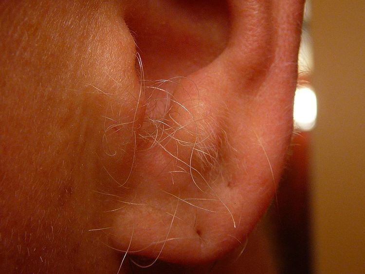 Ear hair
