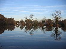 Earlswood Lakes httpsuploadwikimediaorgwikipediacommonsthu