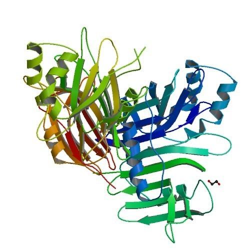 Early 35 kDa protein