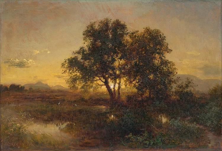 Early Evening Landscape