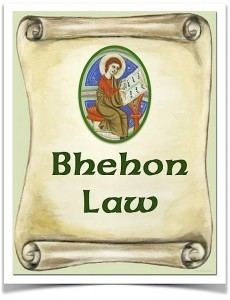 Early Irish law wwwaohfloridaorgmarybethwpcontentuploads201
