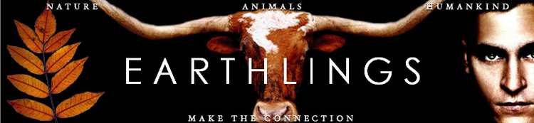 Earthlings (film) UNITY EARTHLINGS Exclusive Interview with Director Shaun Monson
