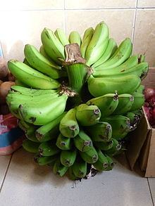 East African Highland bananas httpsuploadwikimediaorgwikipediacommonsthu