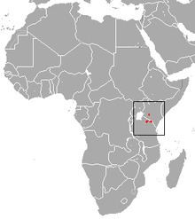 East African highland shrew httpsuploadwikimediaorgwikipediacommonsthu