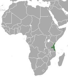 East African little collared fruit bat httpsuploadwikimediaorgwikipediacommonsthu