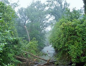 East Arm Little Calumet River httpsuploadwikimediaorgwikipediacommonsthu