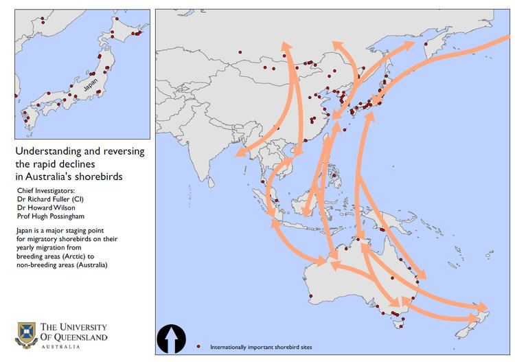 East Asian–Australasian Flyway Dr Mat The East AsianAustralasian Flyway extends from within the