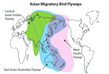 East Asian–Australasian Flyway East AsianAustralasian Flyway Wikipedia