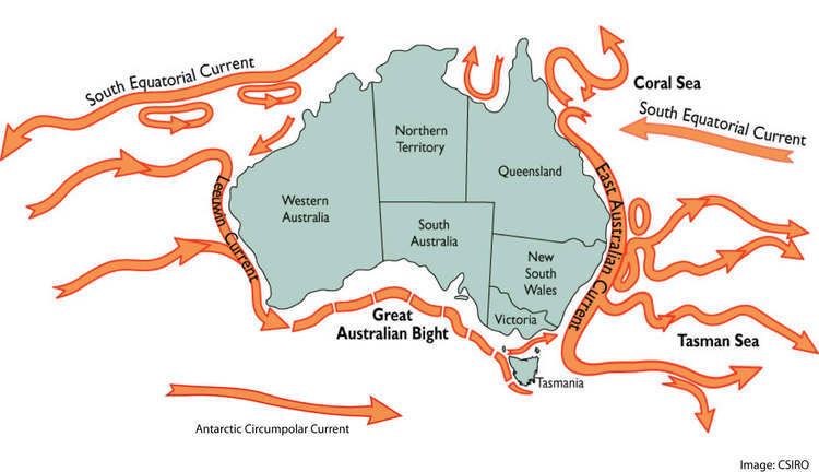 East Australian Current EAC Thermohaline Circulation