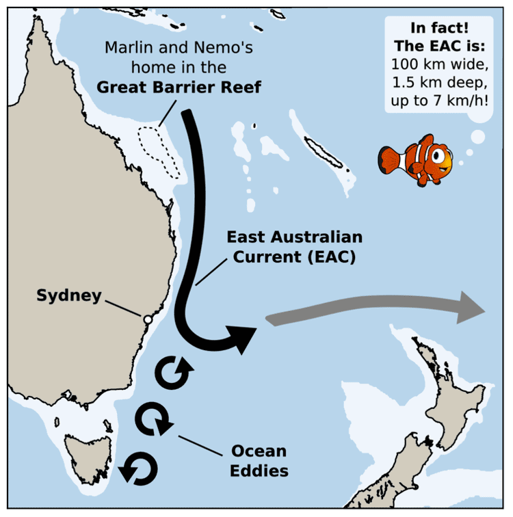 East Australian Current Can you surf the East Australian Current Finding Nemostyle