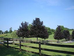 East Bradford Township, Chester County, Pennsylvania httpsuploadwikimediaorgwikipediacommonsthu